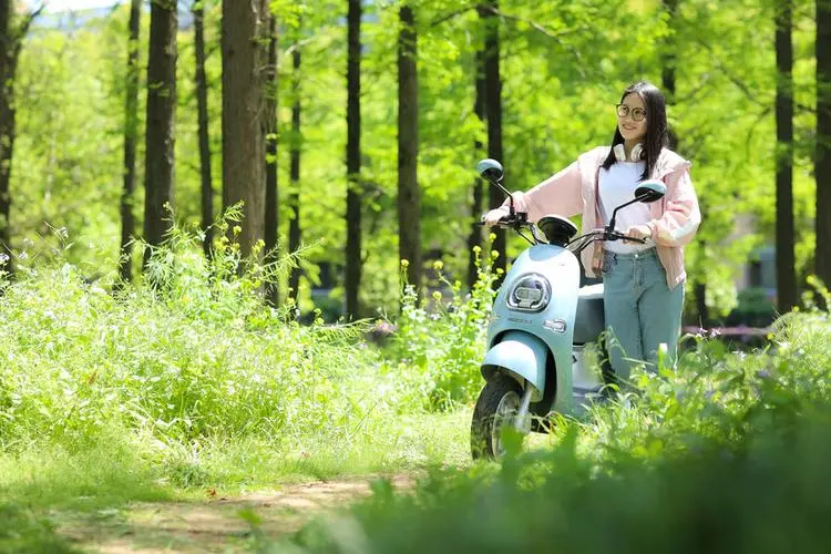 為什么大部分電動車都用鉛酸電池而不是鋰電池？原因是什么？